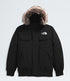 THE NORTH FACE Mcmurdo Bomber Mens Apparel